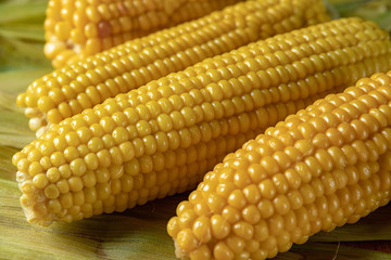 Boiled Corn on corn leaves, with shallow depth of field