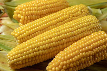 Boiled Corn on corn leaves, with shallow depth of field