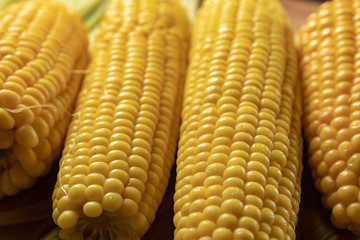 Boiled Corn on corn leaves, with shallow depth of field