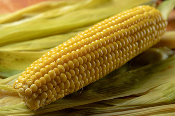 Boiled Corn on corn leaves, with shallow depth of field