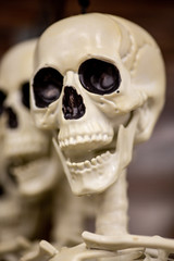 Scary Halloween skeleton head with mouth open