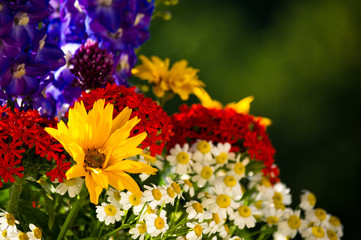 a bouquet of bright spring flowers of various types