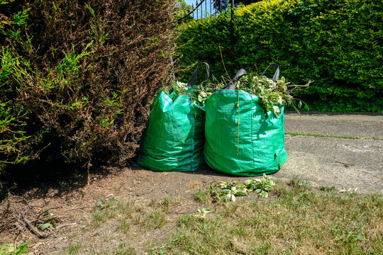 Two Bags Of Garden Waste.