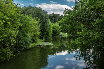 Scenic summer landscape with a lake in the park