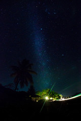 Night sky over coconut palm trees on a beach, rocks, sea or ocean. The night sky with stars,...