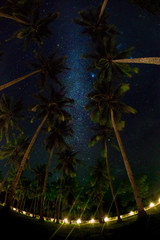 Night sky over coconut palm trees on a beach, rocks, sea or ocean. The night sky with stars, meteorites, milky way and clouds. Night star photography with long exposure. Illustration of universe.