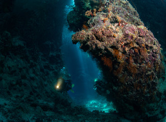 Fototapeta na wymiar Woman diver explores St John's Caves in the Red Sea, Egypt