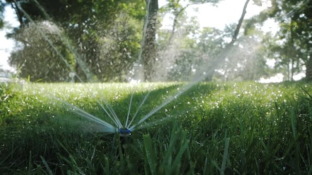 Close up of garden irrigation system watering green grass
