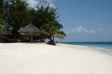 Fototapeta na wymiar Beautiful tropical beach with white sand, palm trees. The coast of the Indian Ocean. Zanzibar. Tanzania