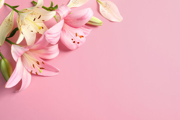 Flat lay composition with beautiful blooming lily flowers on color background - obrazy, fototapety, plakaty