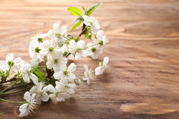 Beautiful blossoming branch on wooden background