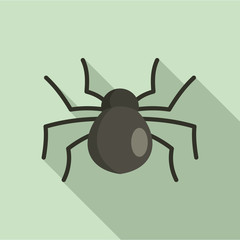 Female mouse spider icon. Flat illustration of female mouse spider vector icon for web design