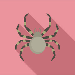Tarantum spider icon. Flat illustration of tarantum spider vector icon for web design