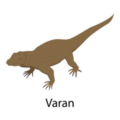Varan icon. Isometric of varan vector icon for web design isolated on white background