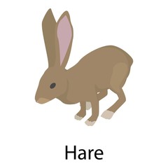 Hare icon. Isometric of hare vector icon for web design isolated on white background