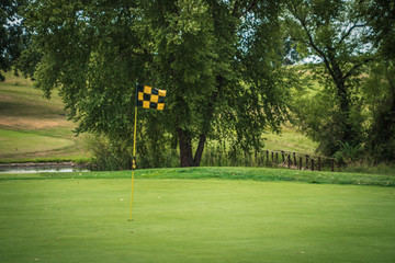 Obraz premium golf green with flag sunny day