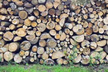 round sawn firewood
