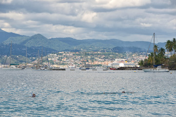 Fort de France bay - Tropical island - Caribbean Sea - Martinique