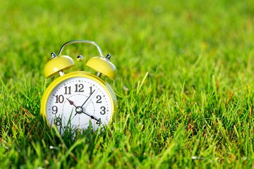Alarm Clock in the Grass