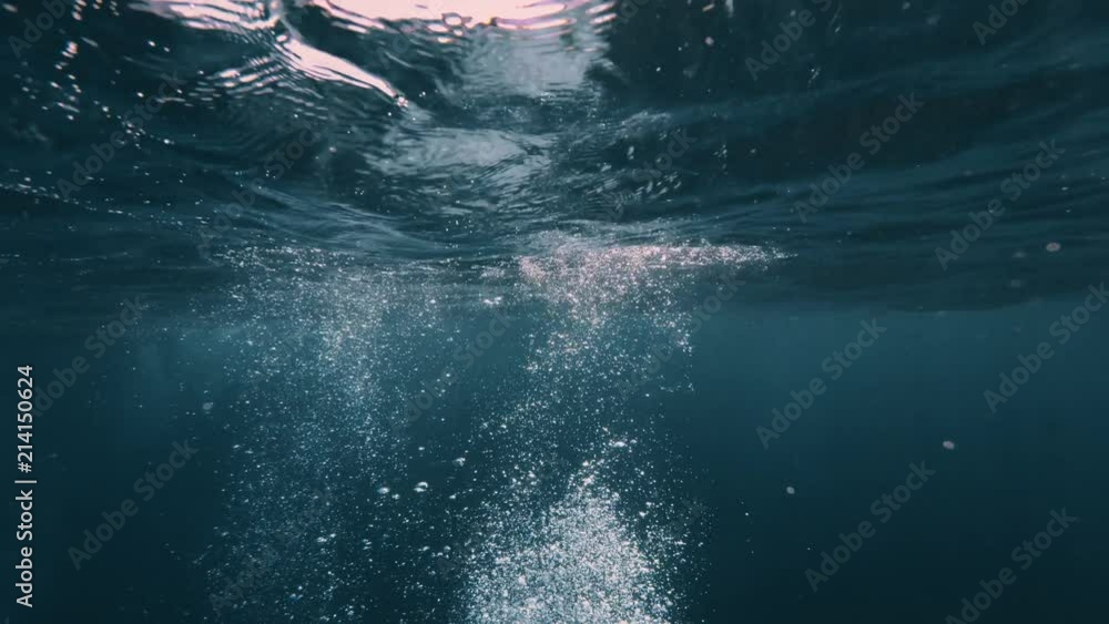Wall mural air bubbles rising underwater in sea water