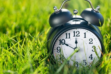 Alarm Clock in the Grass