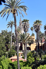 Fototapeta na wymiar View of Giralda Tower from courtyard at Royal Alcazar, Spain