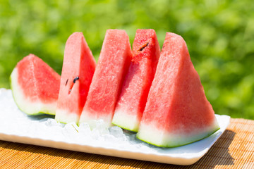 スイカと新緑の夏イメージ