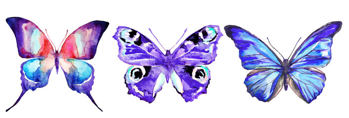 beautiful color butterflies, set, watercolor,  isolated  on a white