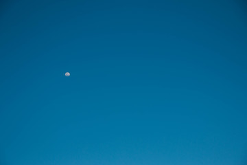 Sao Paulo, Cunha, Brazil, Lavender, flower, launderette, Rio de Janeiro, Angra dos Reis, cloud, nature,