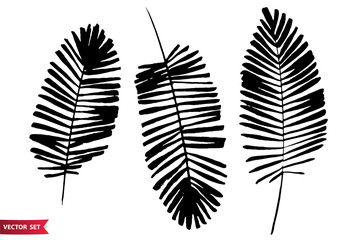 Fototapeta premium Vector set of ink drawing palm leaves, monochrome artistic botanical illustration, isolated floral elements, hand drawn illustration.