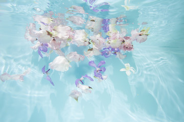 水中の花
