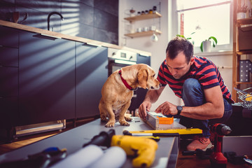 Man with dog building kitchen cabinets