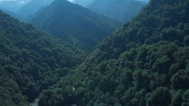 Mountain forest in fog and clouds. Aerial view of over green hills with white fog, clouds. Guria region, Georgia. Low lying cloud over evergreen forests. 4K Aerial footage