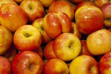 Pile of fresh orange and yellow apples top view close up.