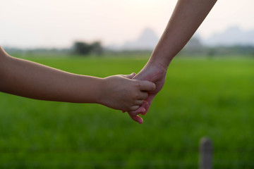Kids little girl hands together Green rice field 