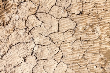 Cracks in Dry Earth