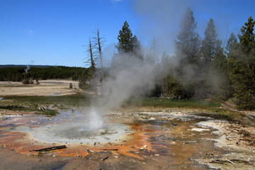 Geyser in Yellowstone National Park in USA