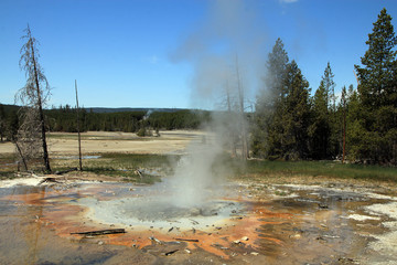 Geysers in Yellowstone National Park in USA