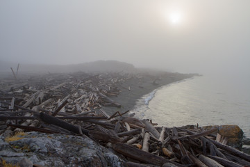 Foggy Coast Morning