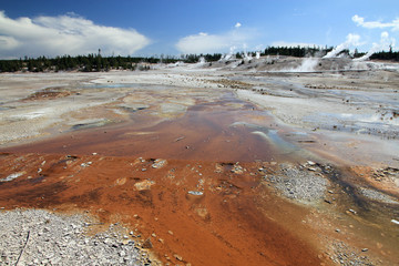 Yellowstone National Park in USA