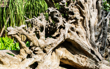 Art dried branches. Natural background.