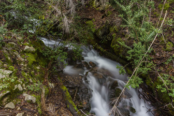 Long Exposure Of Tiny Stream At Los Alerces National Park