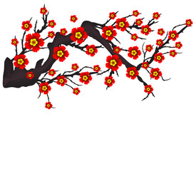 Vector Cherry blossom for Chinese New Year and mid autumn festival