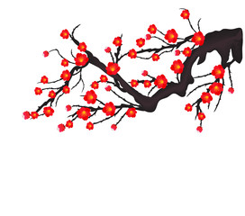 Vector Cherry blossom for Chinese New Year and mid autumn festival