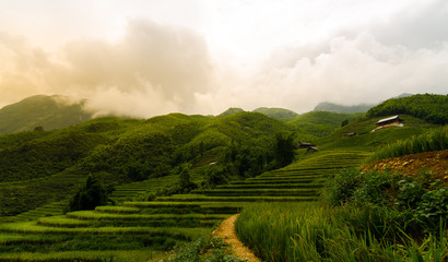 Fototapeta na wymiar landscape of rice field in sapa town at vietnam with warm light