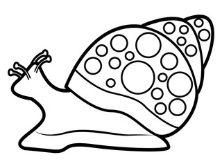 Vector illustration of a snail icon