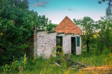 abandoned ruined house in the forest