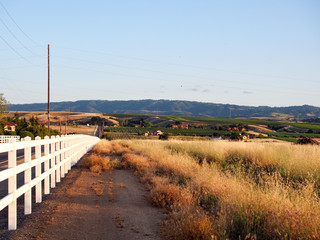 Fototapeta premium White picket fence at sunset on Greenville Road at Tesla Road, Livermore Wine Country, California