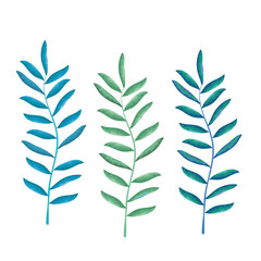 Fototapeta na wymiar set leafs plant icons vector illustration design
