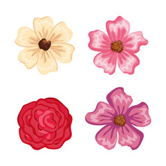 set beautiful flowers icons vector illustration design